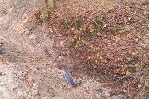 Remont drogi Nawsie Rzeki - img_20241121_083947.jpg