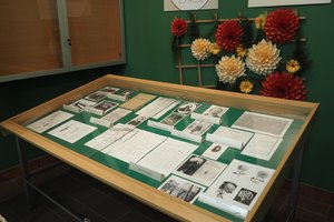 Uroczystość odsłonięcia tablicy pamiątkowej w Szkole Podstawowej im. prof. Karola Olszewskiego w Broniszowie. - p1015532.jpg