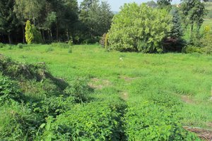 Inwestycja przed realizacją - img_003.jpg