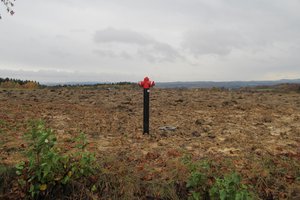 Inwestycja po realizacji - img_2498.jpg