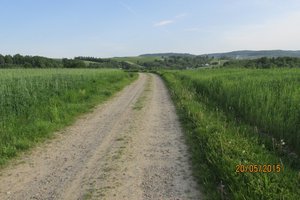 Przed realizacją - img_0668.jpg