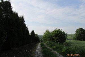 Przed realizacją - img_0673.jpg