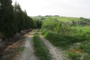 Przed realizacją - img_0674.jpg