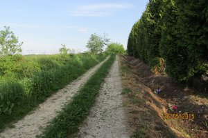 Przed realizacją - img_0675.jpg