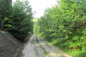 Przed realizacją - img_0676.jpg