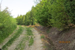 Przed realizacją - img_0677.jpg