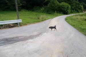 Inwestycja po realizacji - 20170706_143557.jpg