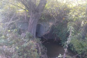 Przed realizacją - zdjecie0046.jpg