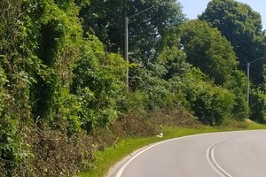 W trakcie realizacji - 038.jpg