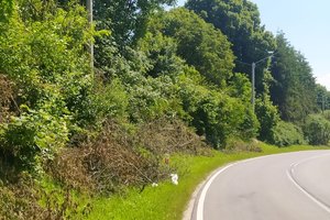 W trakcie realizacji - 039.jpg