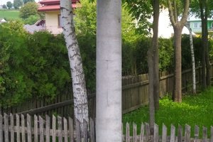 W trakcie realizacji - 015.jpg