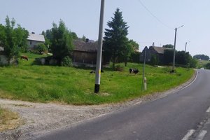 W trakcie realizacji - 023.jpg