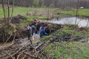 Wielopole Skrzynskie - img_20230418_093554.jpg