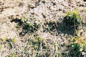 Prace w trakcie realizacji - 3001.jpg