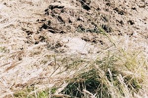 Prace w trakcie realizacji - 3003.jpg