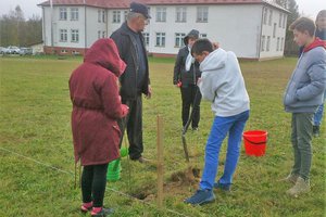 100 drzew na 100-lecie odzyskania Niepodległości - 20180510_0001.jpg