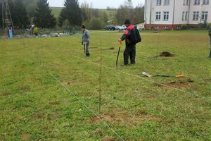 100 drzew na 100-lecie odzyskania Niepodległości - 20180510_0002.jpg