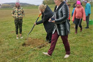 100 drzew na 100-lecie odzyskania Niepodległości - 20180510_0003.jpg