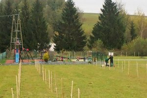 100 drzew na 100-lecie odzyskania Niepodległości - 20180510_0007.jpg
