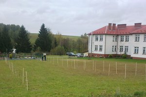 100 drzew na 100-lecie odzyskania Niepodległości - 20180510_0008.jpg