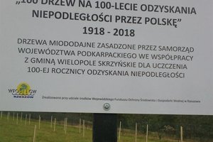 100 drzew na 100-lecie odzyskania Niepodległości - 20180510_0010.jpg
