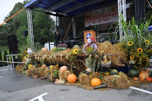 Dożynki Gminne "Brzeziny 2020" - dsc_2393.jpg