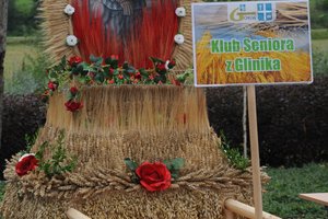 Dożynki Gminne "Brzeziny 2020" - dsc_2417.jpg