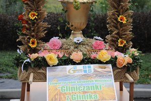 Dożynki Gminne "Brzeziny 2020" - dsc_2420.jpg