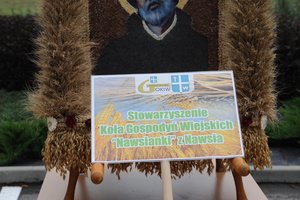 Dożynki Gminne "Brzeziny 2020" - dsc_2423.jpg