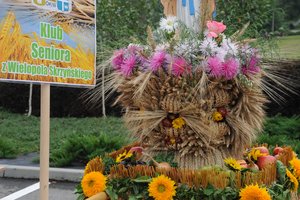 Dożynki Gminne "Brzeziny 2020" - dsc_2424.jpg