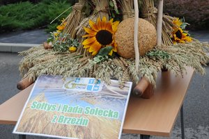 Dożynki Gminne "Brzeziny 2020" - dsc_2427.jpg
