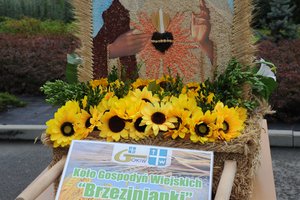 Dożynki Gminne "Brzeziny 2020" - dsc_2428.jpg