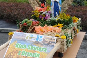 Dożynki Gminne "Brzeziny 2020" - dsc_2429.jpg