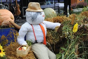 Dożynki Gminne "Brzeziny 2020" - dsc_2459.jpg