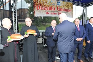 Dożynki Gminne "Brzeziny 2020" - dsc_2464.jpg