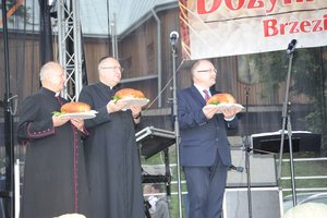 Dożynki Gminne "Brzeziny 2020" - dsc_2471.jpg