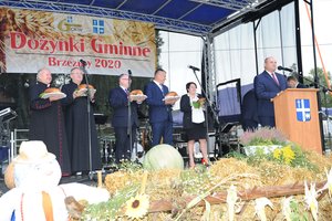 Dożynki Gminne "Brzeziny 2020" - dsc_2473.jpg