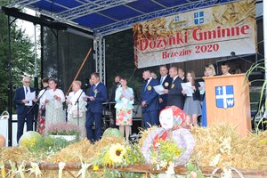 Dożynki Gminne "Brzeziny 2020" - dsc_2485.jpg