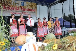 Dożynki Gminne "Brzeziny 2020" - dsc_2494.jpg