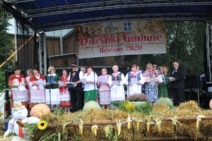 Dożynki Gminne "Brzeziny 2020" - dsc_2496.jpg