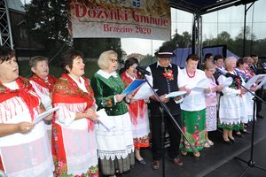 Dożynki Gminne "Brzeziny 2020" - dsc_2501.jpg