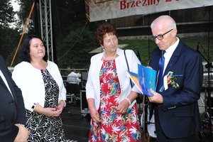 Dożynki Gminne "Brzeziny 2020" - dsc_2515.jpg