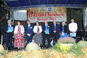 Dożynki Gminne "Brzeziny 2020" - dsc_2521.jpg