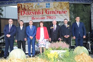Dożynki Gminne "Brzeziny 2020" - dsc_2569.jpg