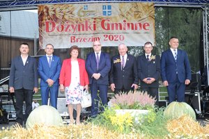 Dożynki Gminne "Brzeziny 2020" - dsc_2572.jpg