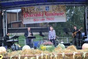 Dożynki Gminne "Brzeziny 2020" - dsc_2587.jpg