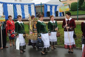 Galeria Zdjęć - 0041.jpg