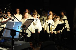 Gala Orszaku III Króli w Wielopolu Skrzyńskim - 20180112_0012.jpg