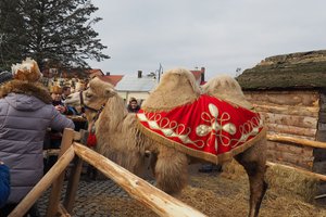 Galeria Zdjęć - 20180108_001.jpg