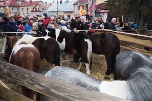 Galeria Zdjęć - 20180108_102.jpg